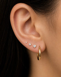 LOBES