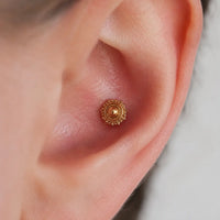 CONCH