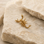 Antarès Threaded ASTRA BODY JEWELRY