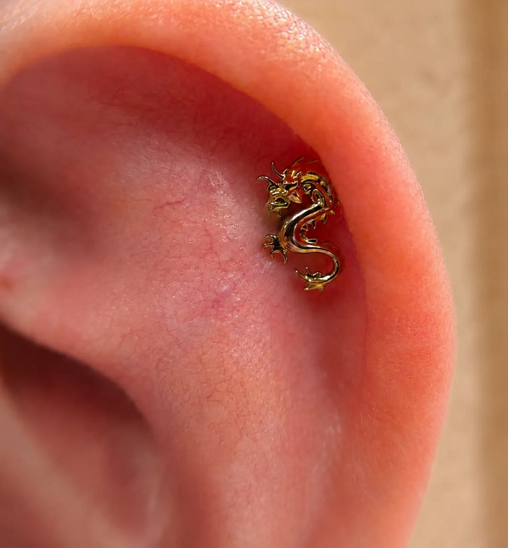 Draco Or Massif 14K Threadless KHRYSOS